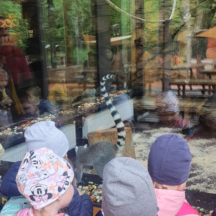 Návštěva ZOO