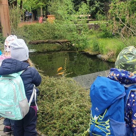 Návštěva ZOO