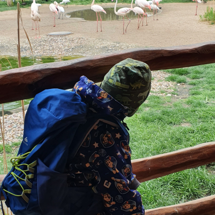Návštěva ZOO