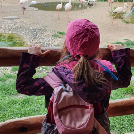 Návštěva ZOO