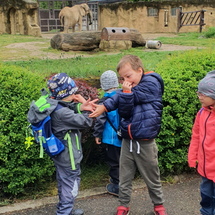 Návštěva ZOO