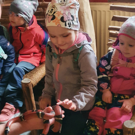 Návštěva ZOO