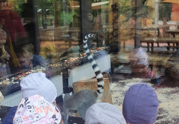Návštěva ZOO Návštěva ZOO